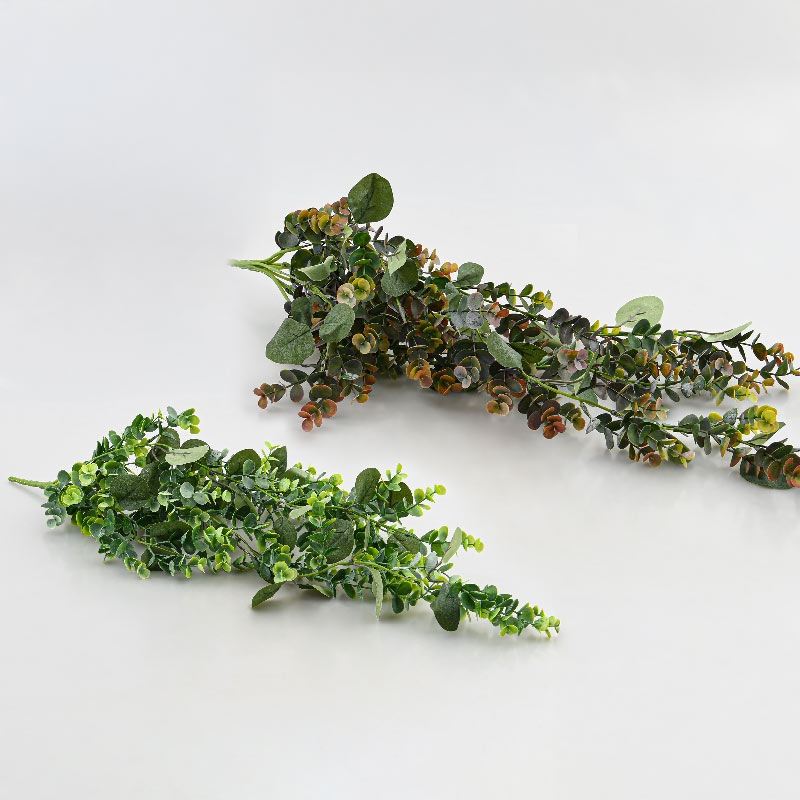 Chute de feuilles eucalyptus 