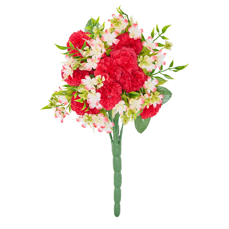 Bouquet d'oeillets rouge