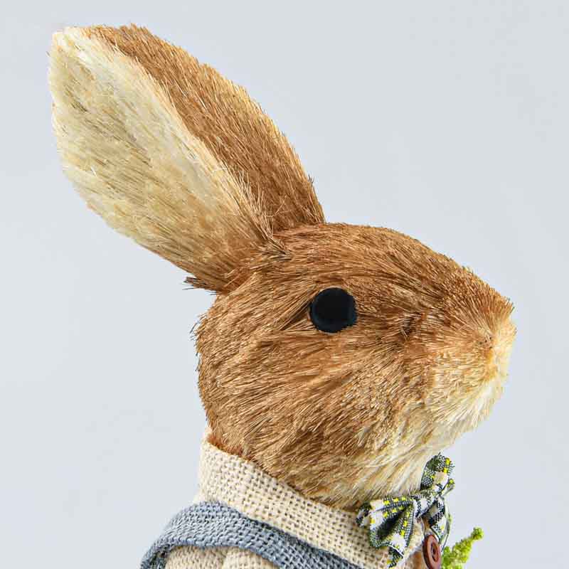 Lapin de Pâques en salopette