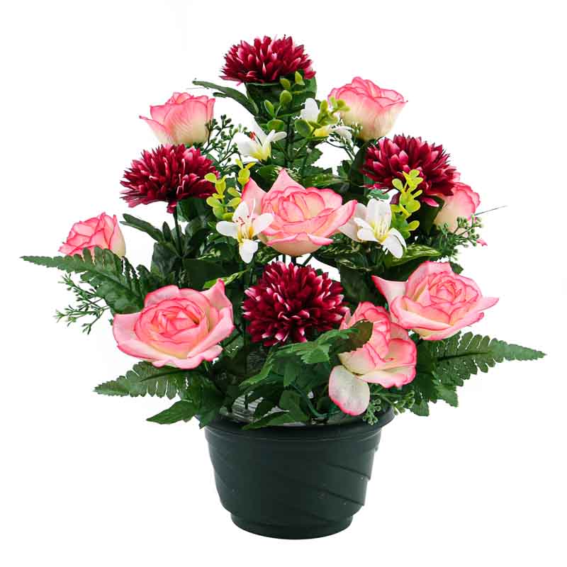 Potée de roses et boutons de roses