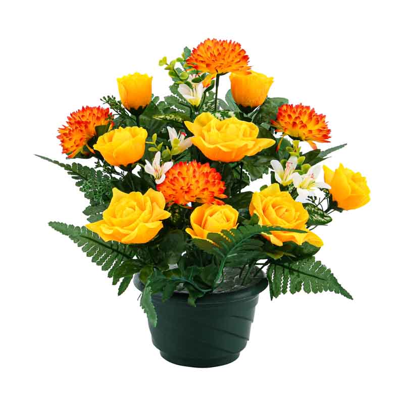 Potée de roses et boutons de roses orange