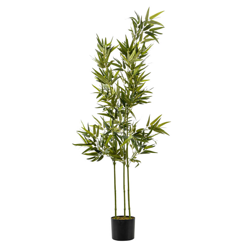 Bambou en pot vert de 150cm