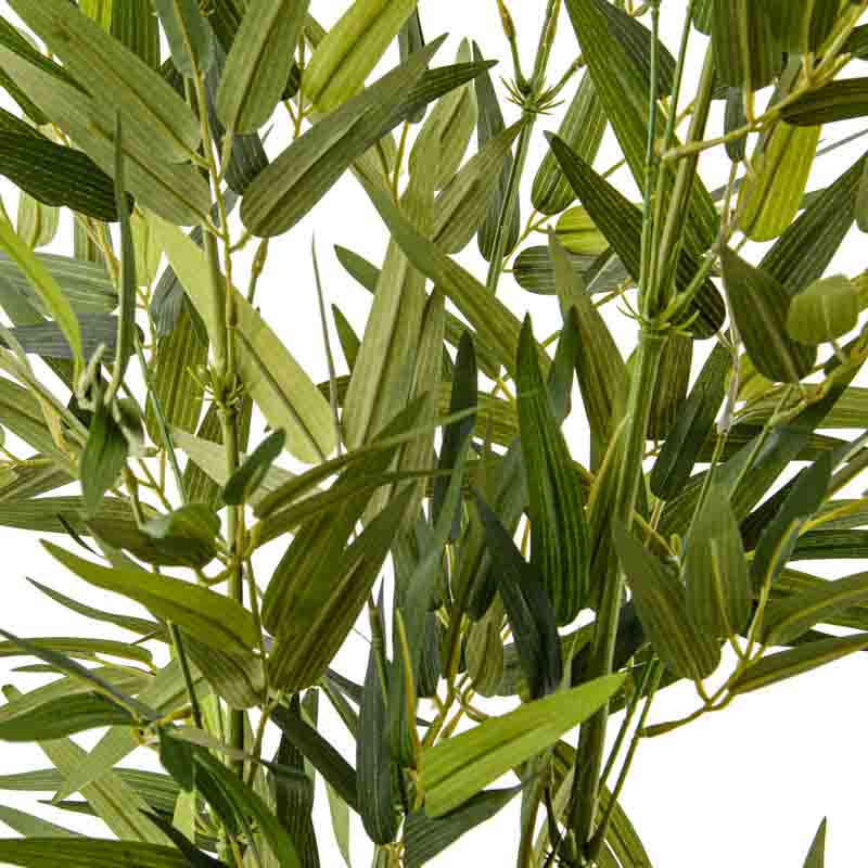 Bambou en pot vert de 150cm