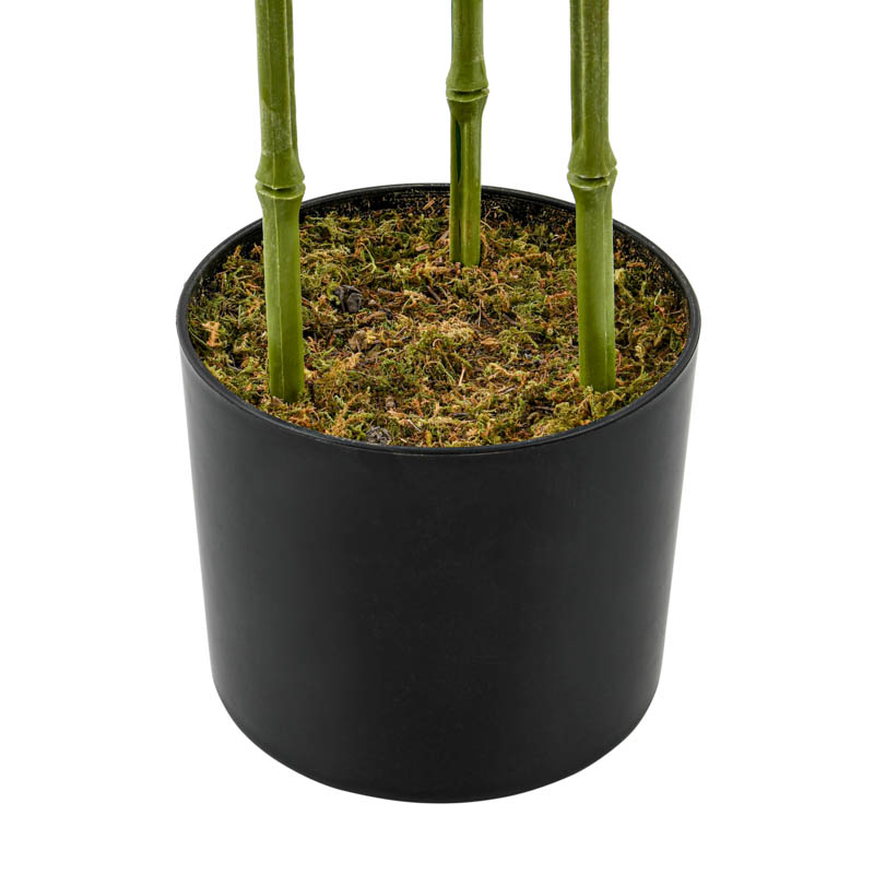 Bambou en pot vert de 150cm