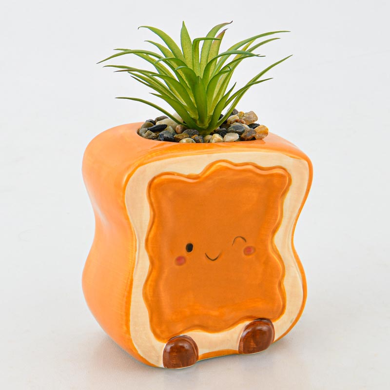 Tartine rigolote avec succulente 