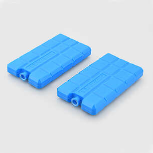 Lot de 2 blocs accumulateur de froid 170ml