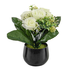 Potée de roses et jasmins blanche