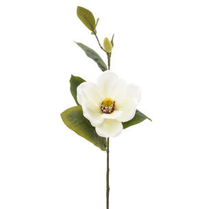 Mini magnolia