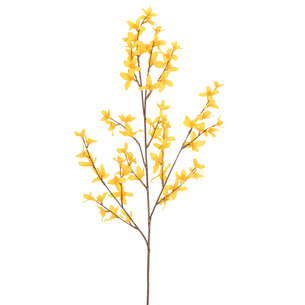 Forsythia artificelle
