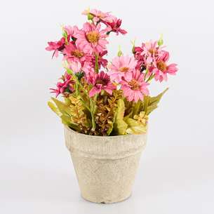 Aster artificel pot