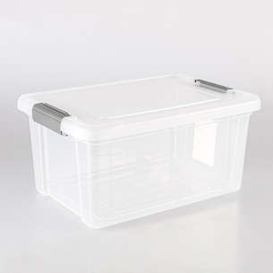 Bac De Rangement Transparent Pour Frigo - 30x20x5 Cm - Plastique PET Sans BPA - Pour Fruits, Légumes, Organisation Cuisine - 13