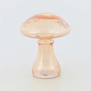Champignon lumineux 