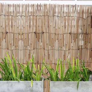 Brise vue roseaux 3Mx1,50M