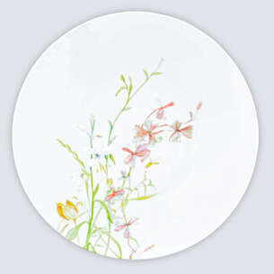 Assiette plate décorée 
