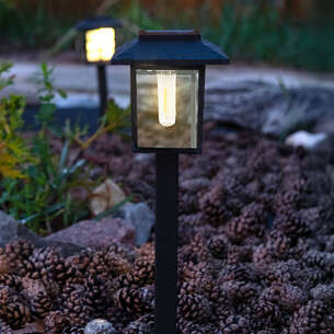 Lampe solaire 