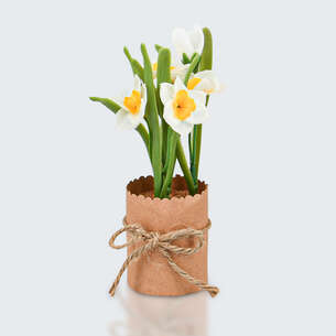 Jonquilles en pot blanches et jaunes
