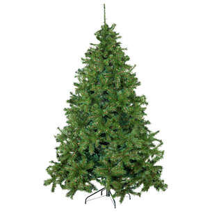 Sapin de Noël 