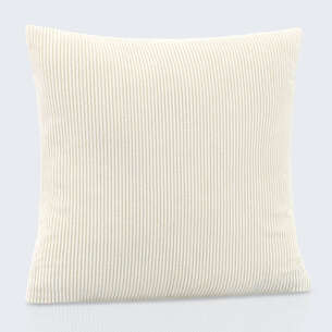 Coussin velours 